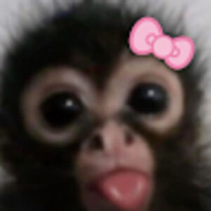 Meet your Posher, Zoe